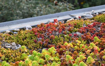 the cost of Gretna green roof installation